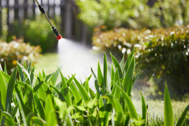 24/7 Emergency Ant Control experts in Medford, MA