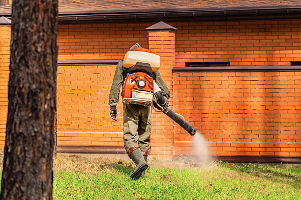 Trusted Emergency Pest Control service in Medford, MA - Nex Pest Control